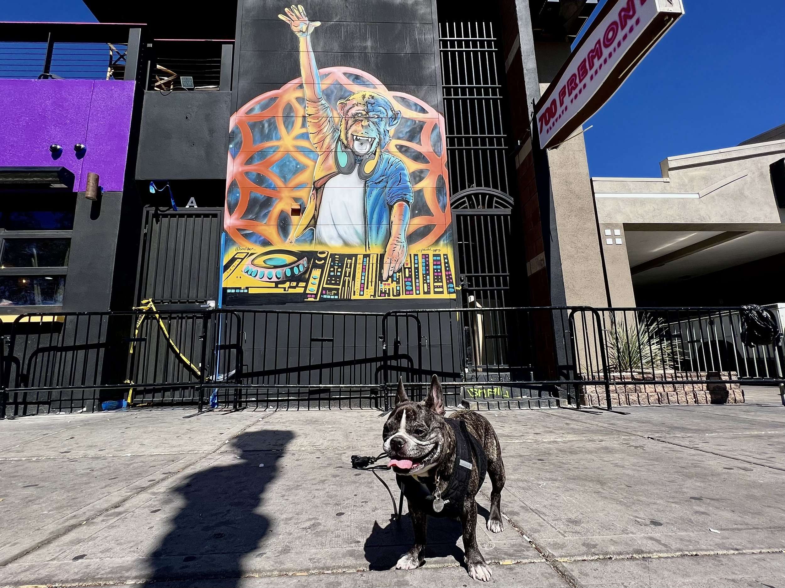 Monkey spin table Las Vegas Street Art