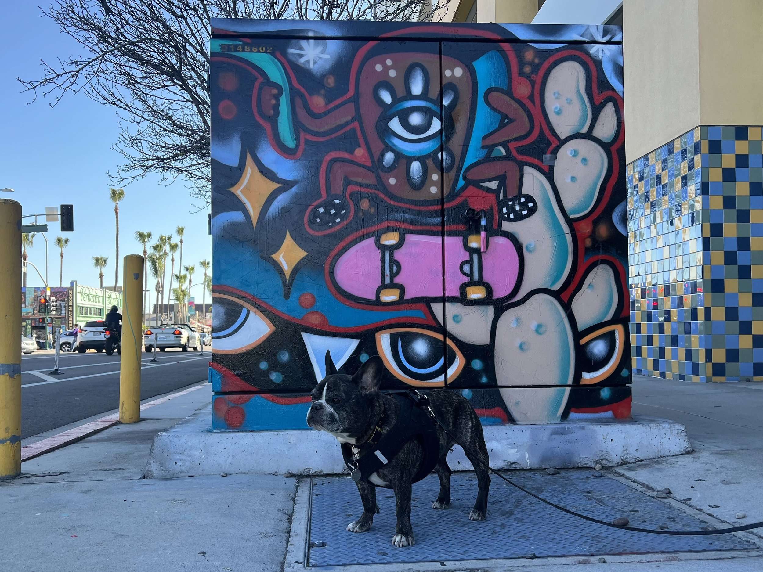 Murals Fantastic