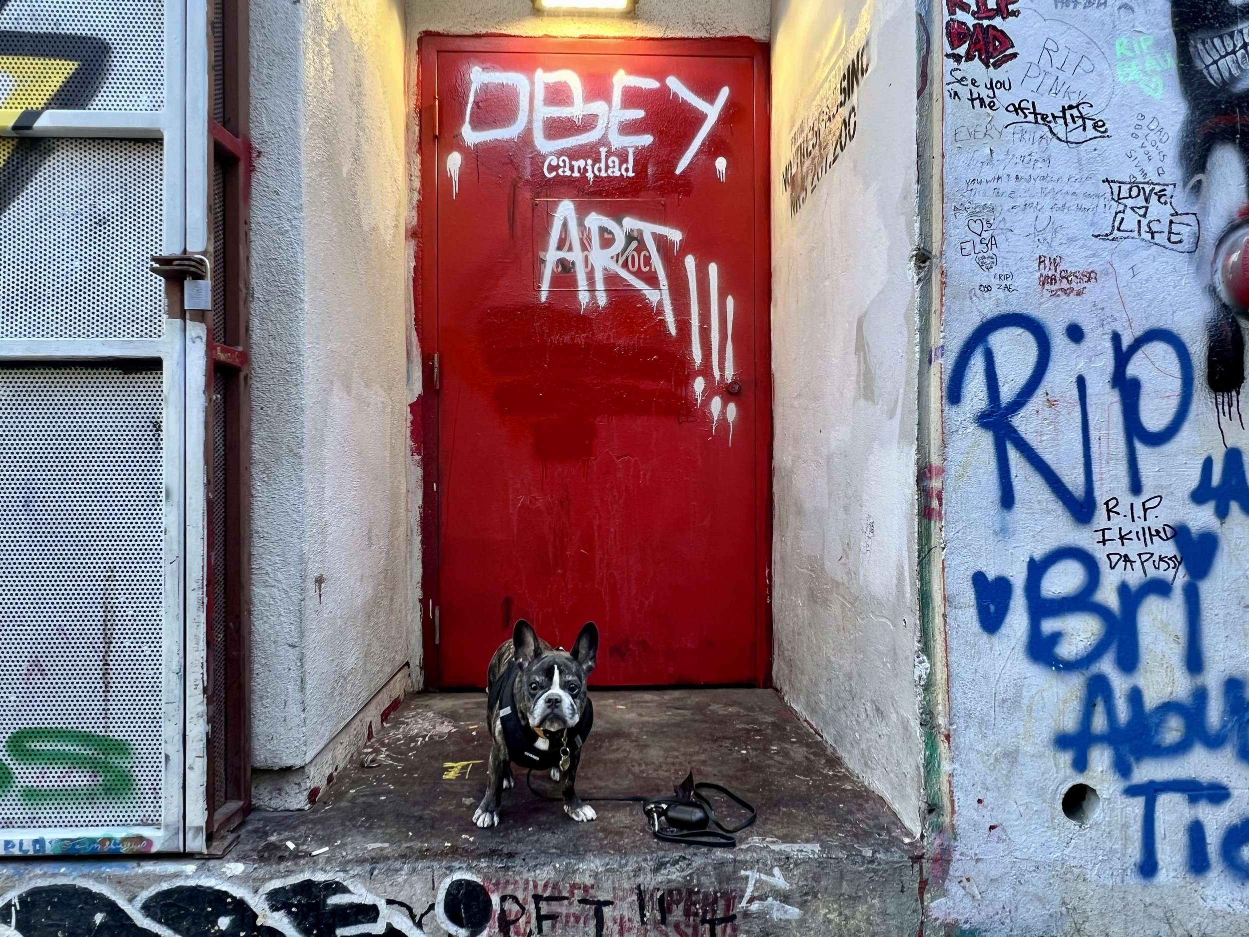 Obey Art