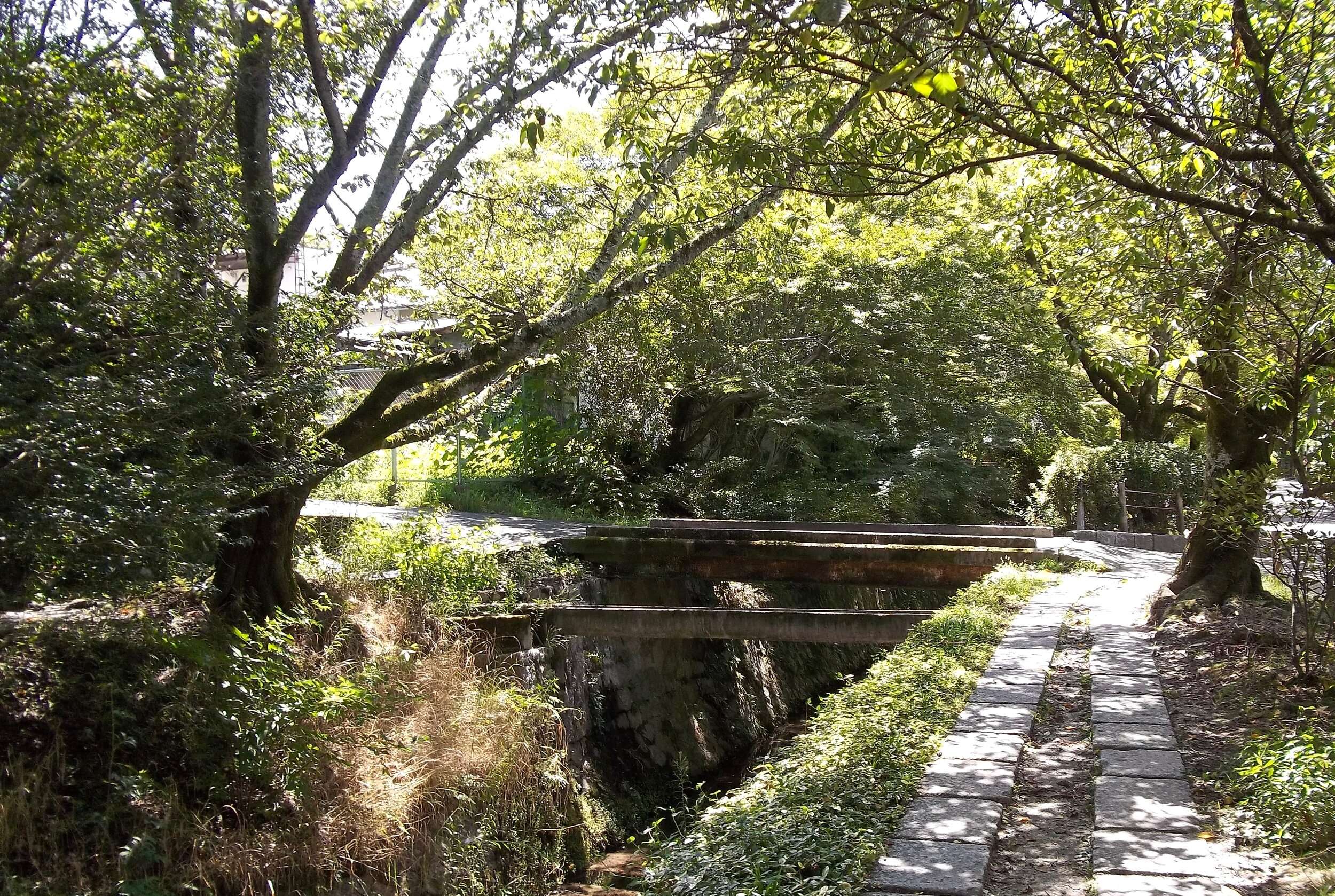 Canal Alongside Philosopher's Walk