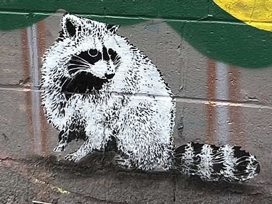 Raccoon Street Art