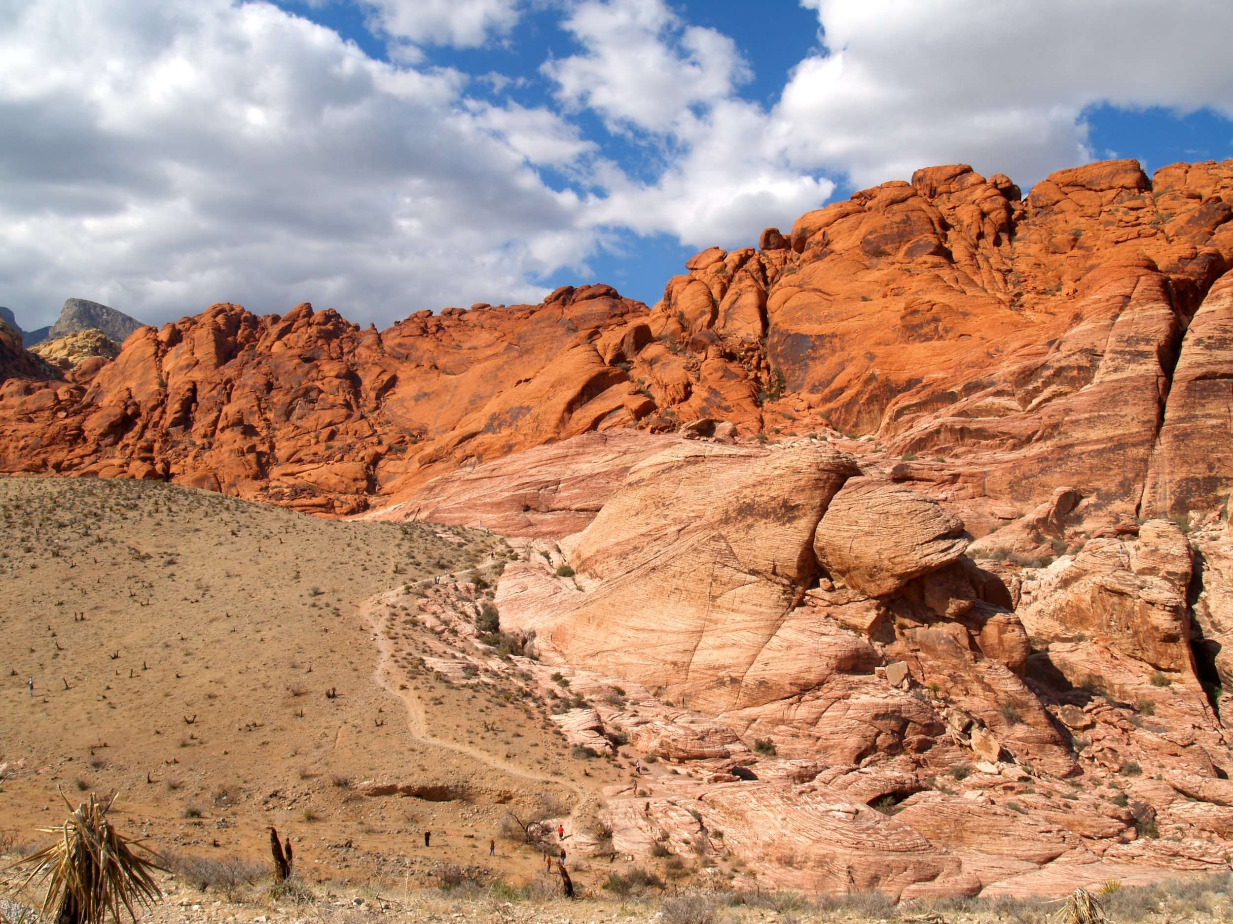 Red Rock Canyon National Conservation Center Springs Preserve Ranch