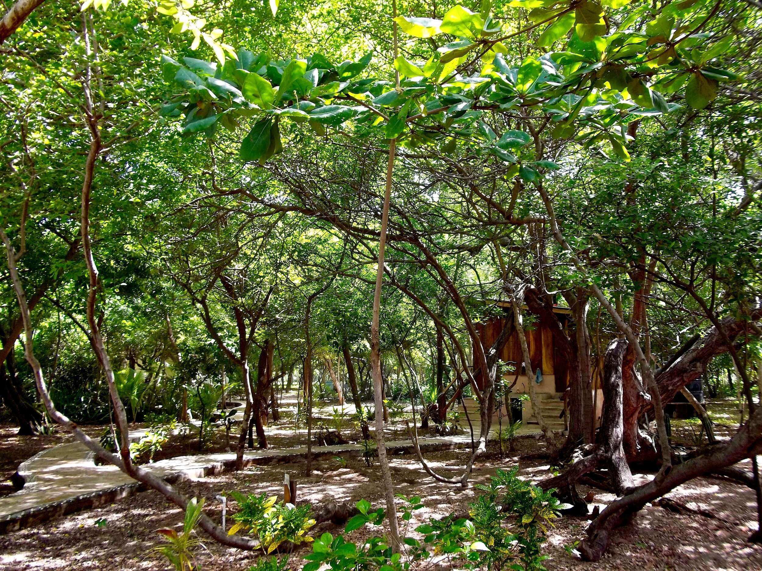 A View of the Los Cardones Eco Lodge Nicaragua Property.