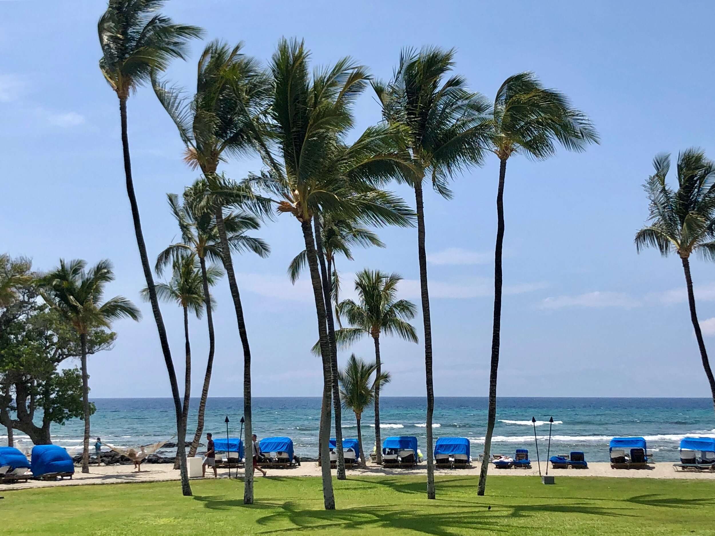 Top 10 Things to Do on The Big Island of Hawaii