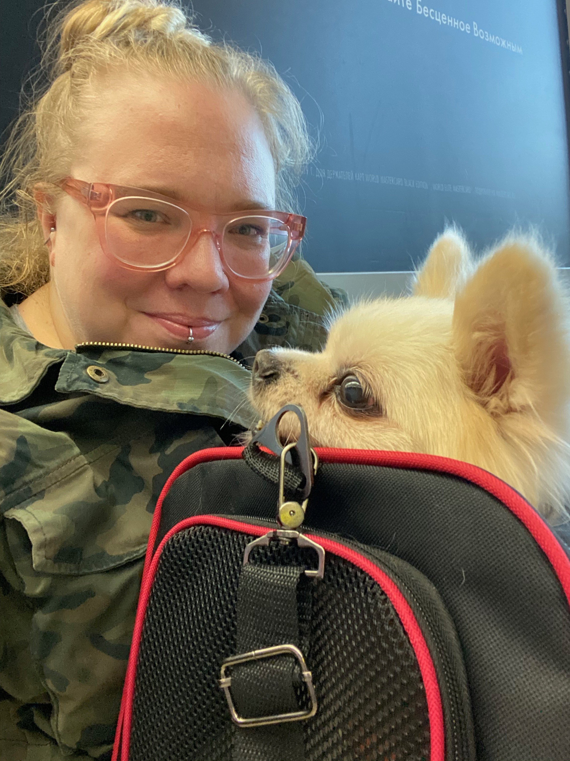 Waiting for our connecting flight in Moscow. Dog meat trade survivor, Romeo flew with me in cabin from Beijing to Los Angeles, via Moscow on my forth rescue mission.