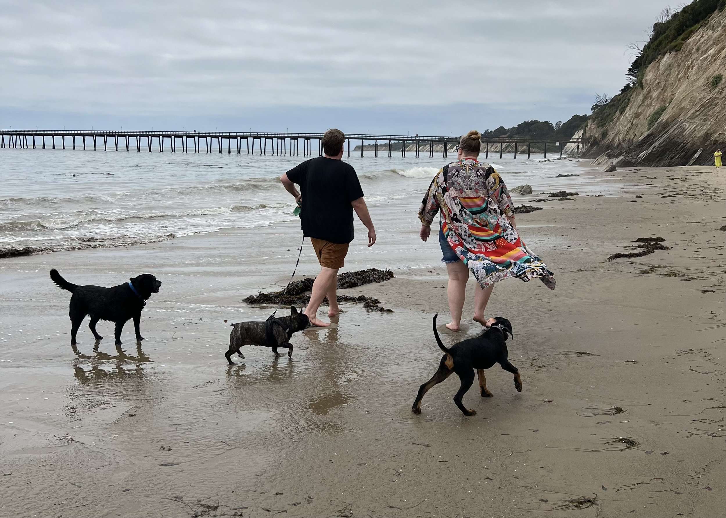 Santa Barbara Beach With Dogs Stuff To Do In Santa Barbara