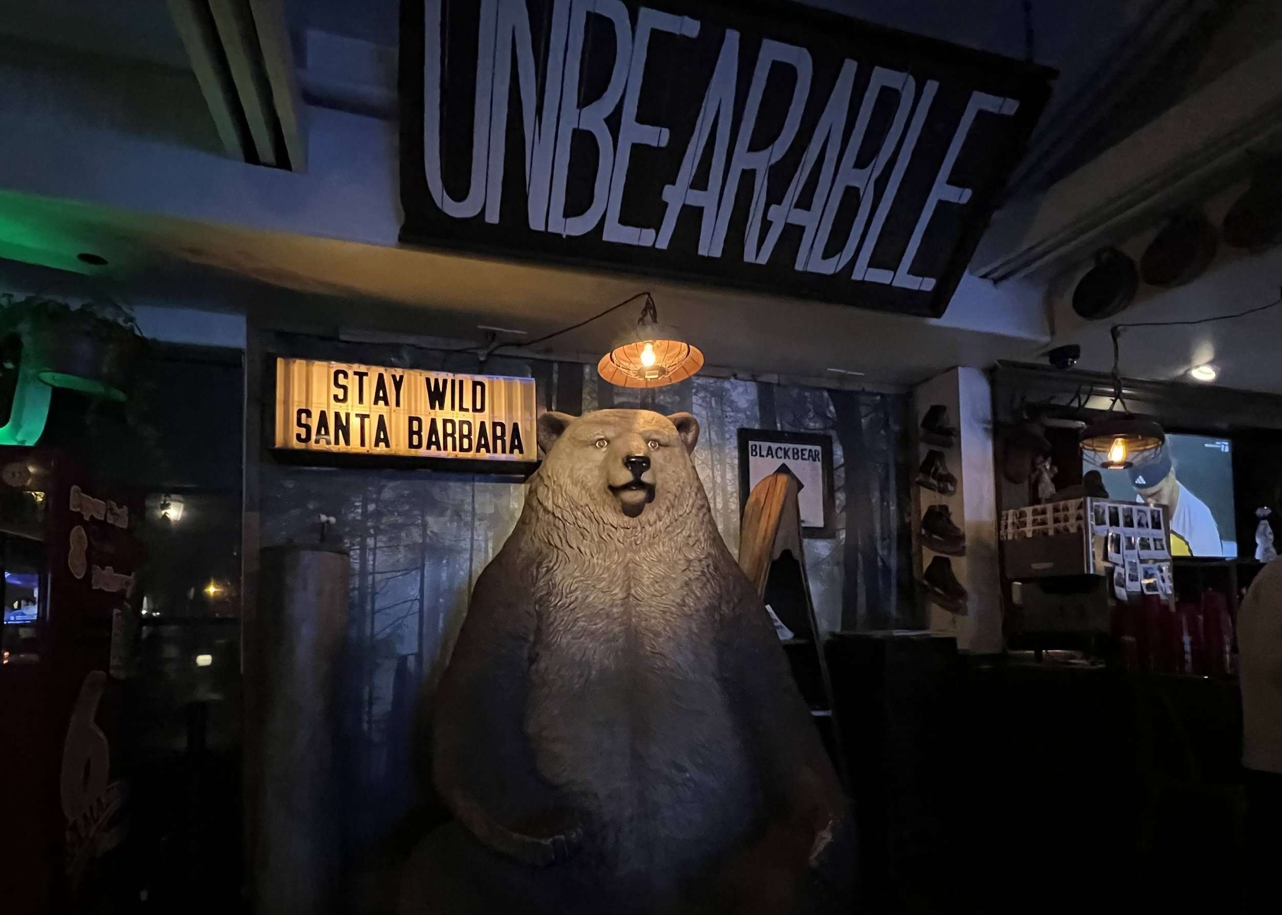 Stay Wild Santa Barbara Bear Things To Do In Santa Barbara At Night