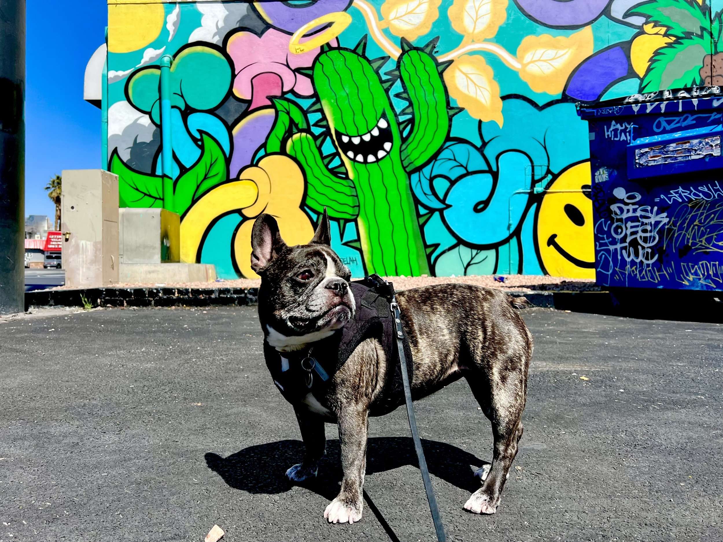 Stewart Avenue Felipe Pantone
