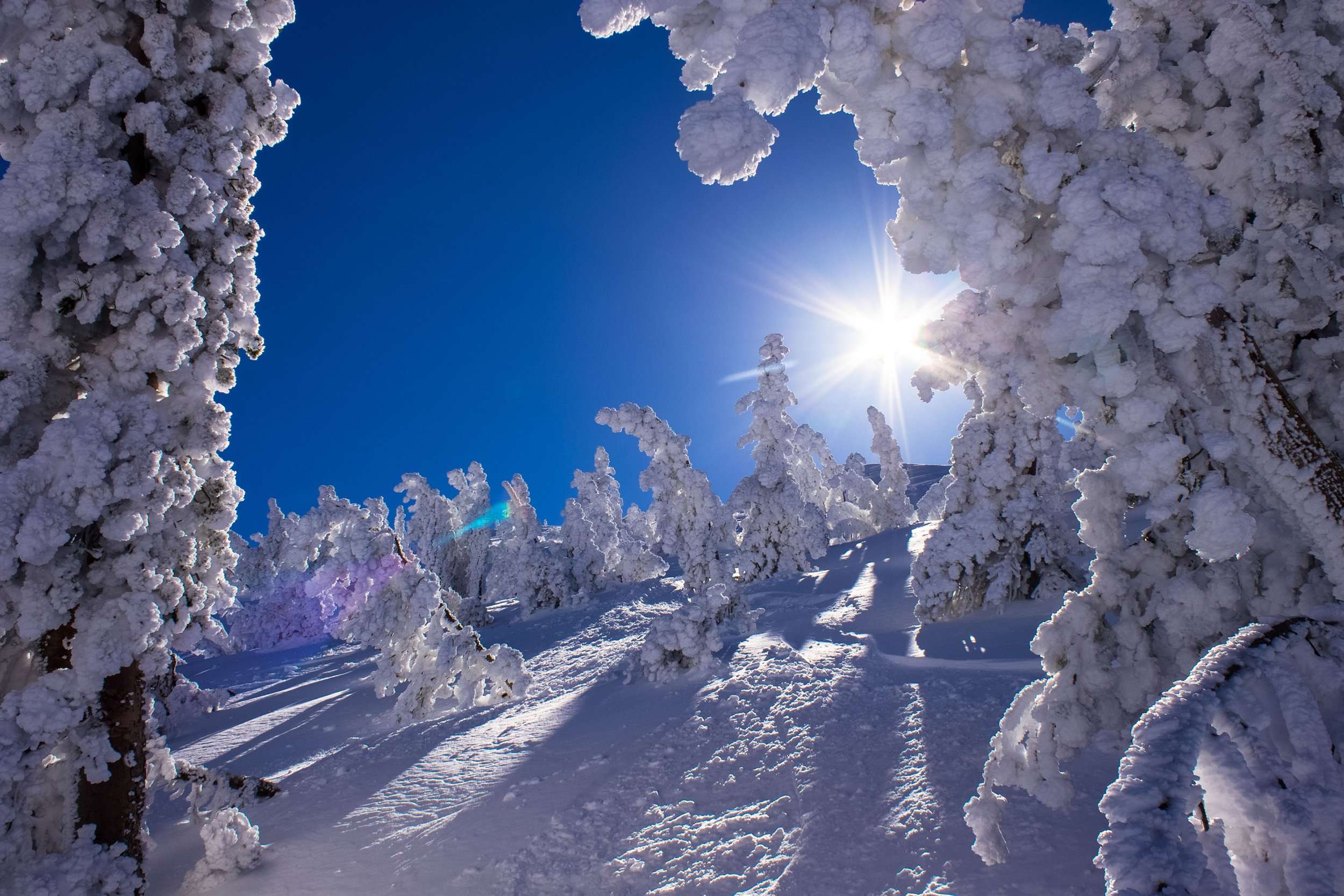 Things To Do In Mammoth Lakes In Winter