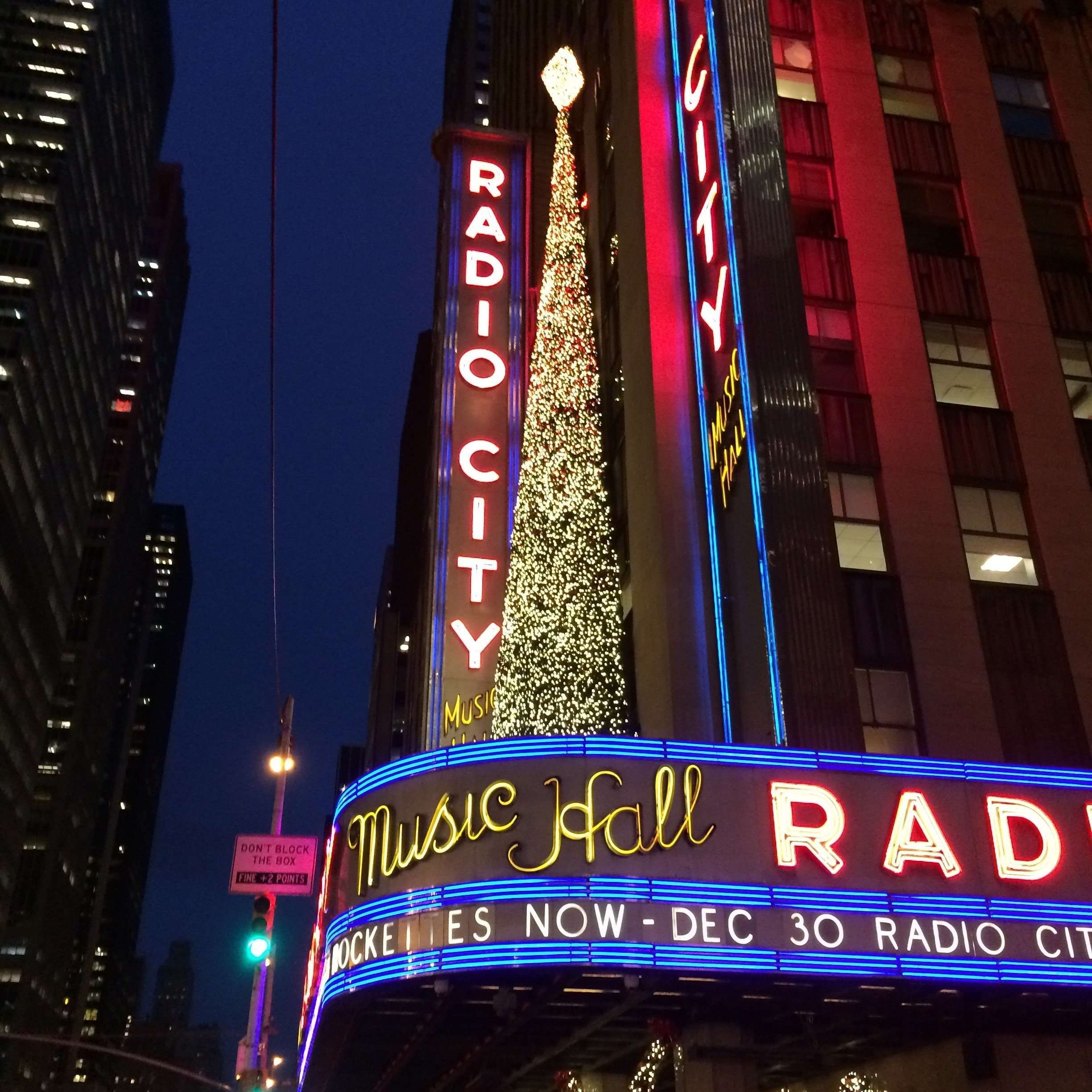Things To Do In NYC At Night With Kids