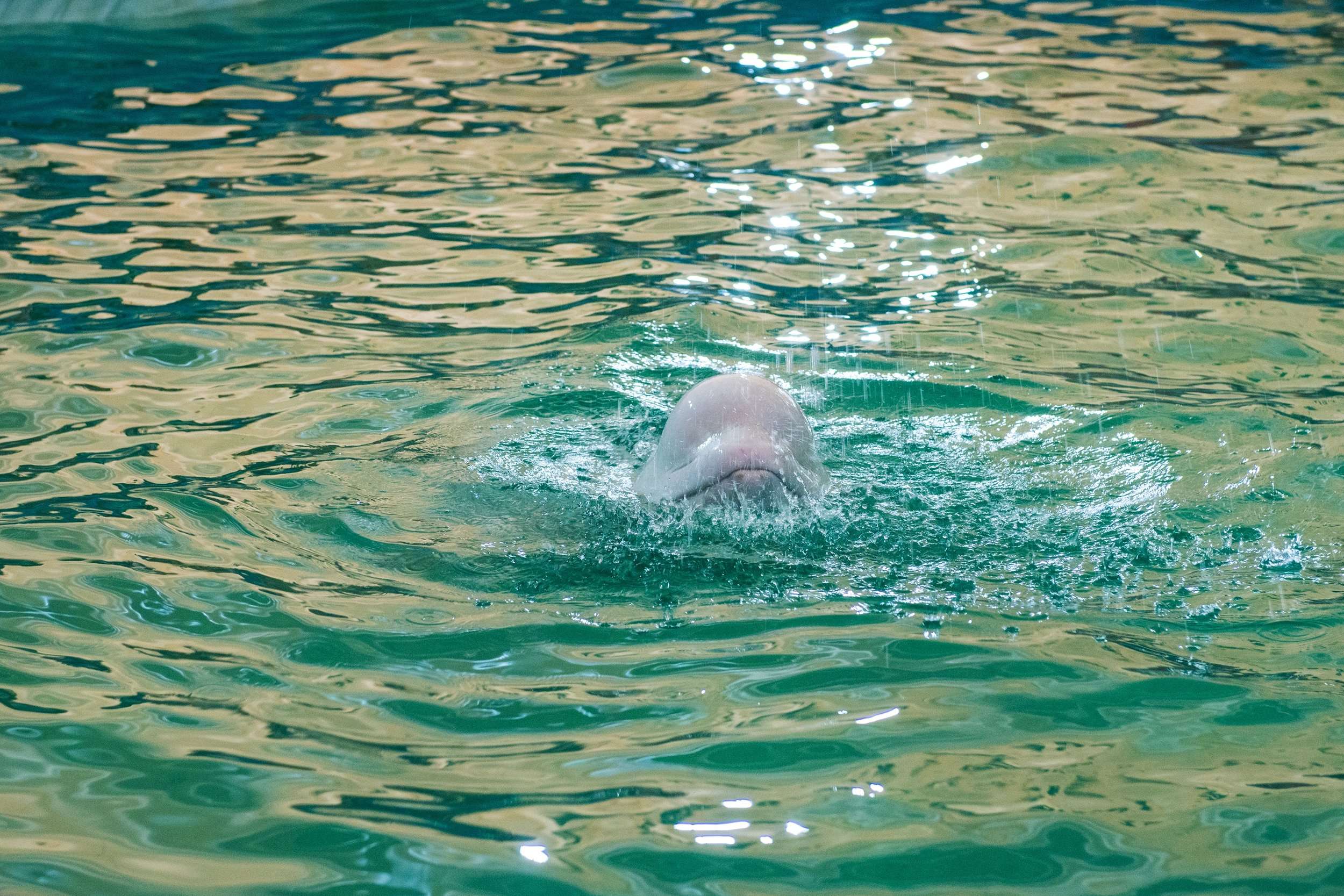 Unique Things To Do In Central Florida Unusual Orlando