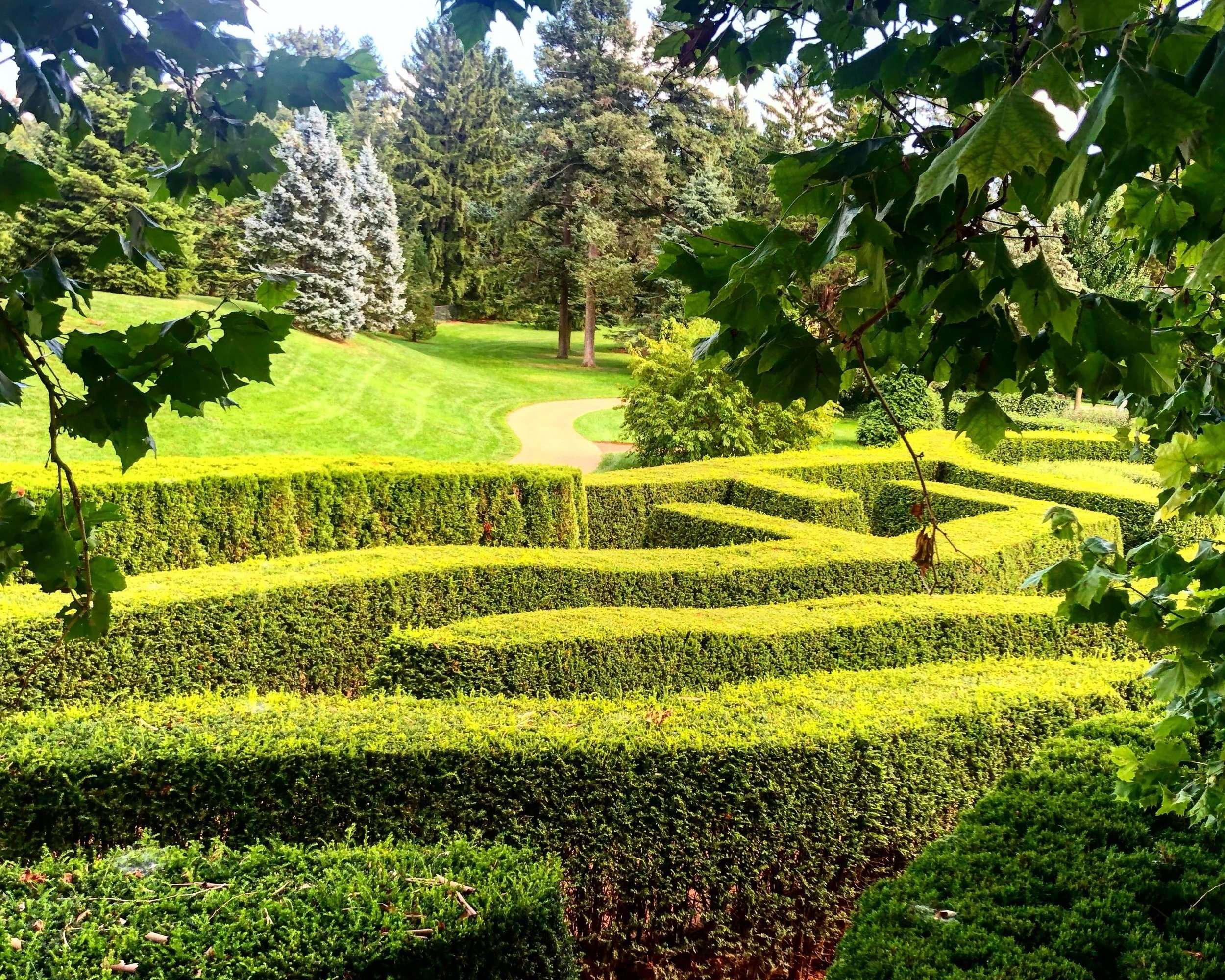 Unique Things To Do In Chicago Suburbs Morton Arboretum