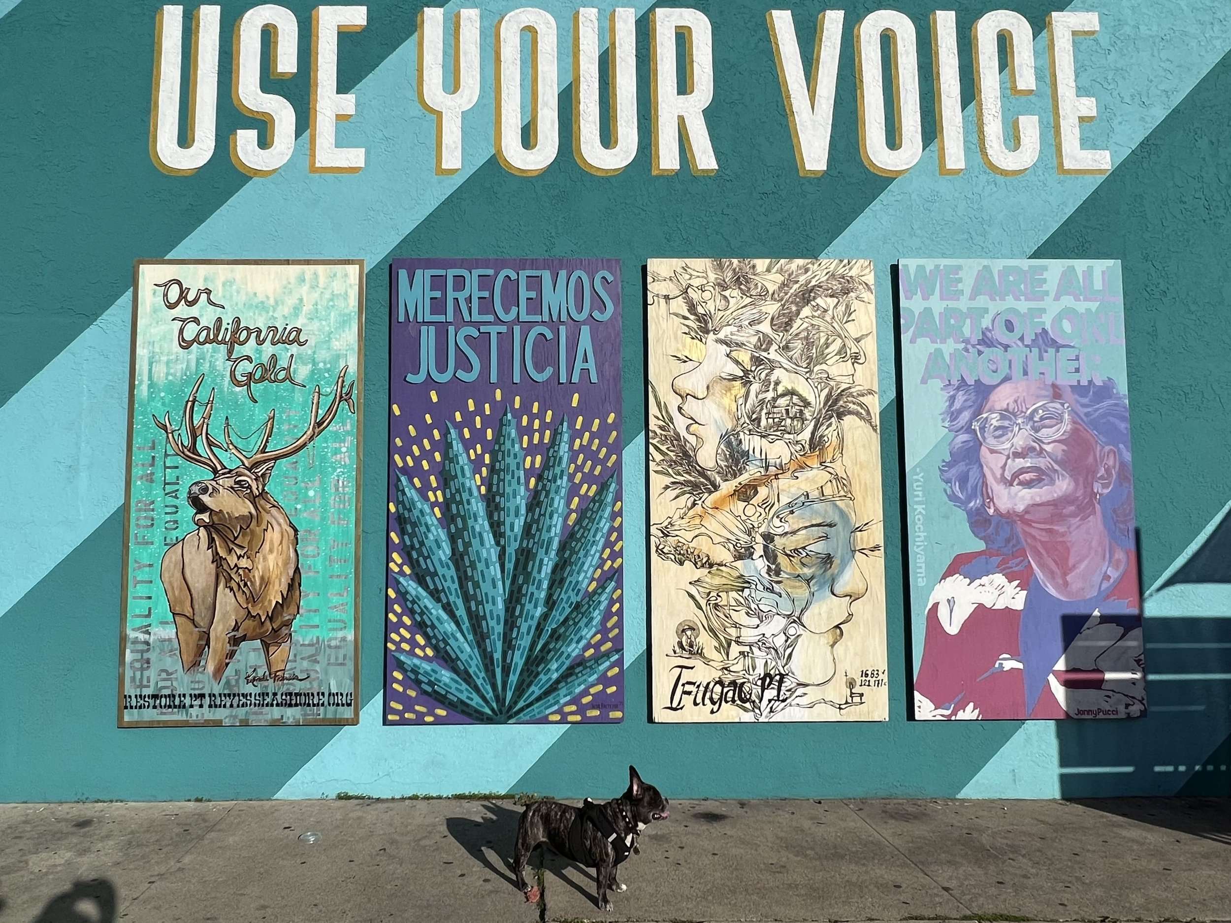 Use Your Voice