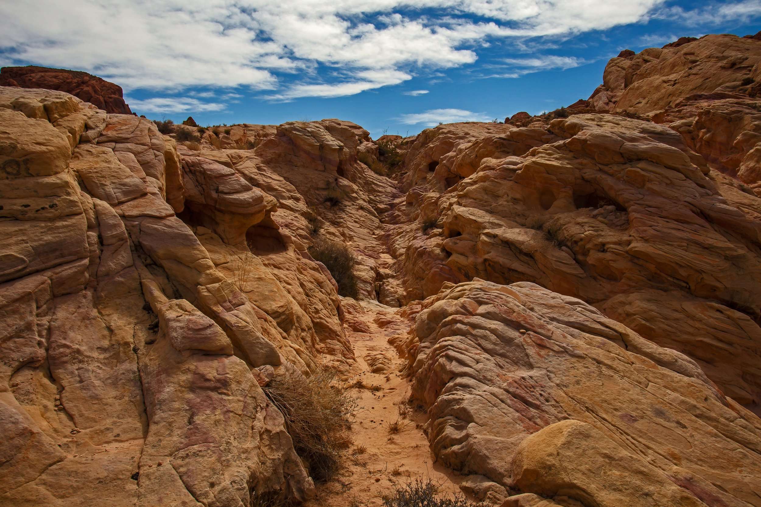 Valley Of Fire State Park What To Do In Vegas Outside The Strip