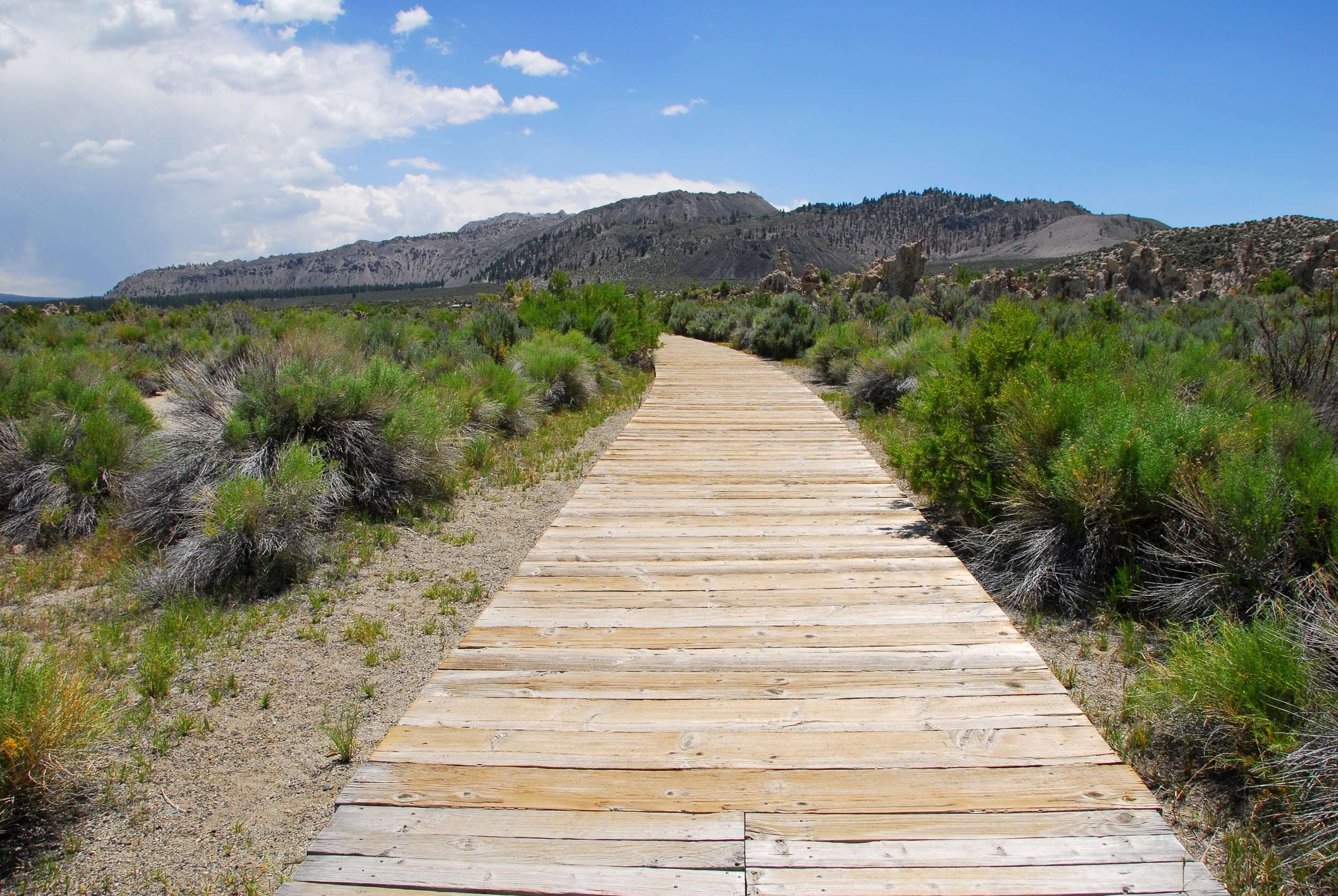 Walkway To Mono Lake Things To Do In Mammoth Lakes Summer