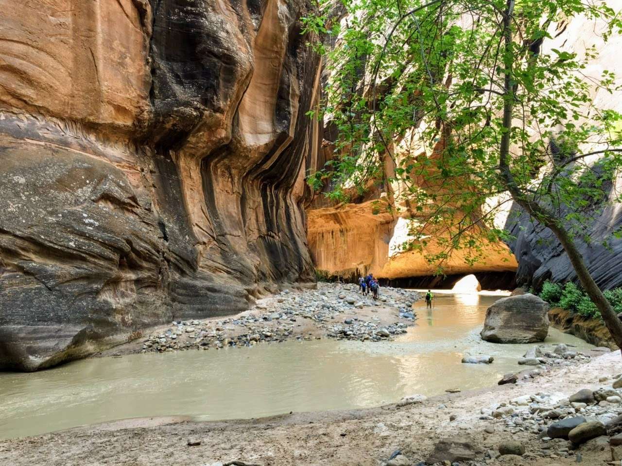 15 Accessible Activities In Zion National Park