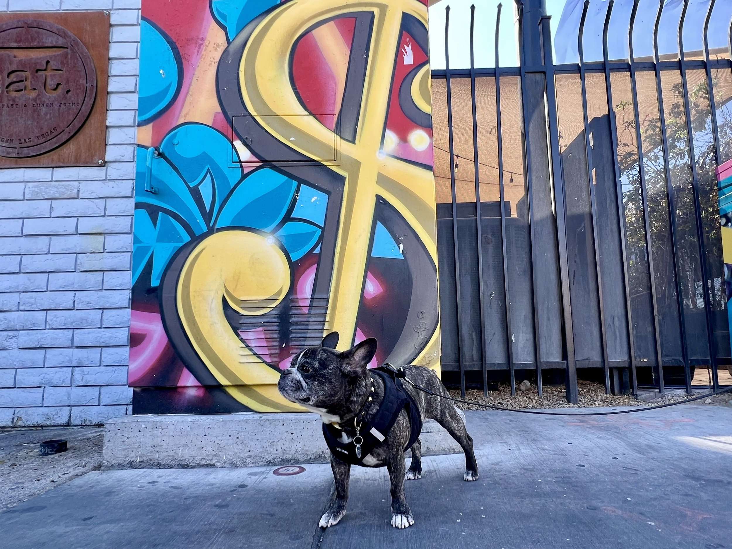 furgusons downtown mural