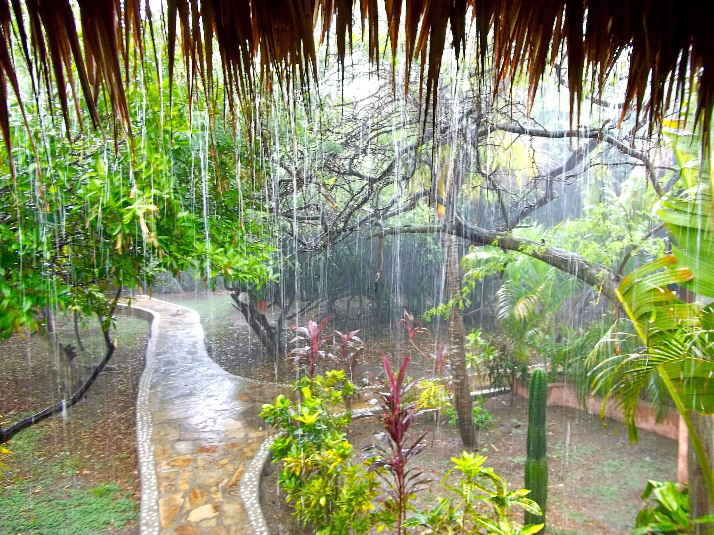 Quick Rainforest Downpour