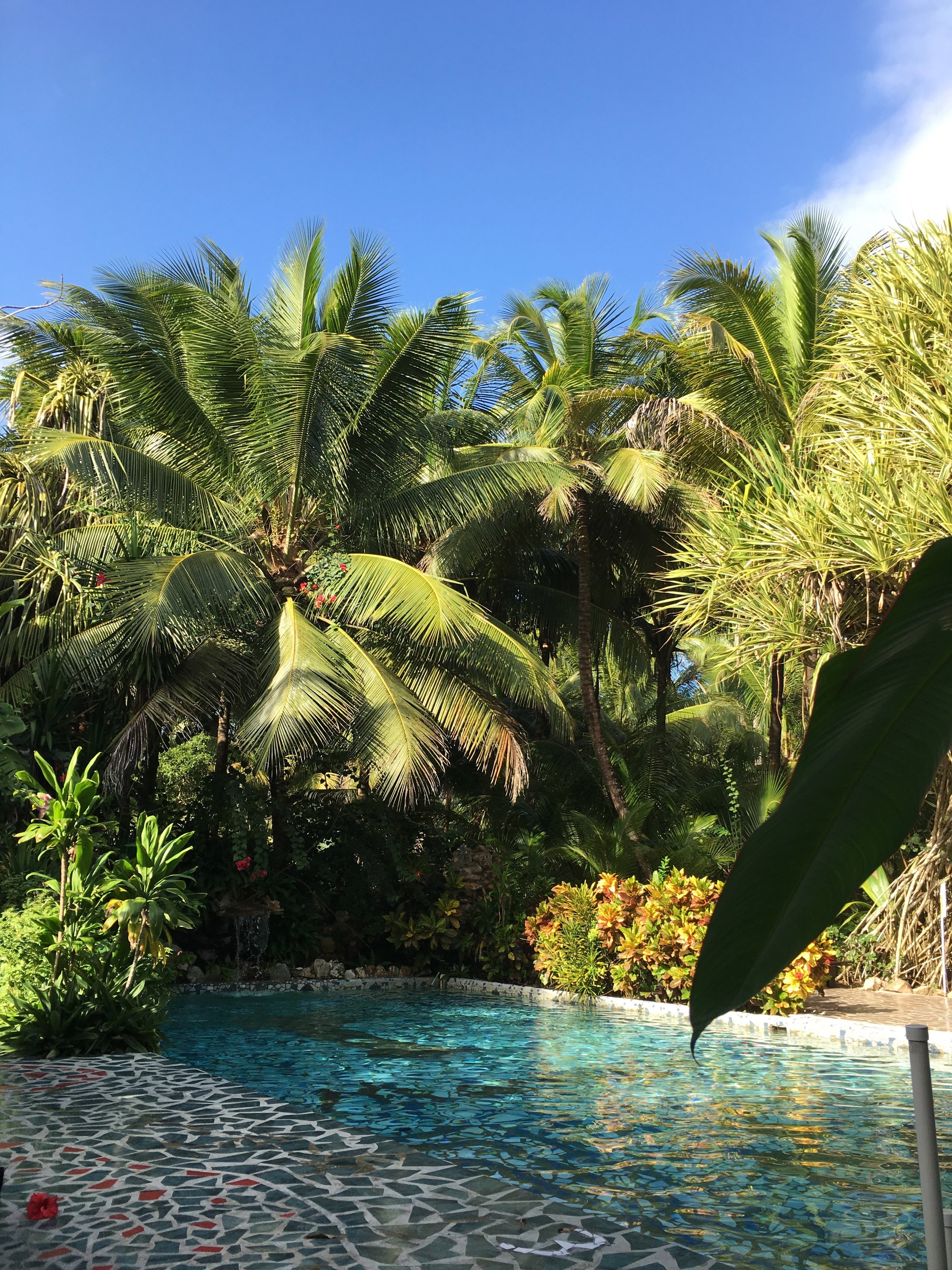 resort pool.jpg