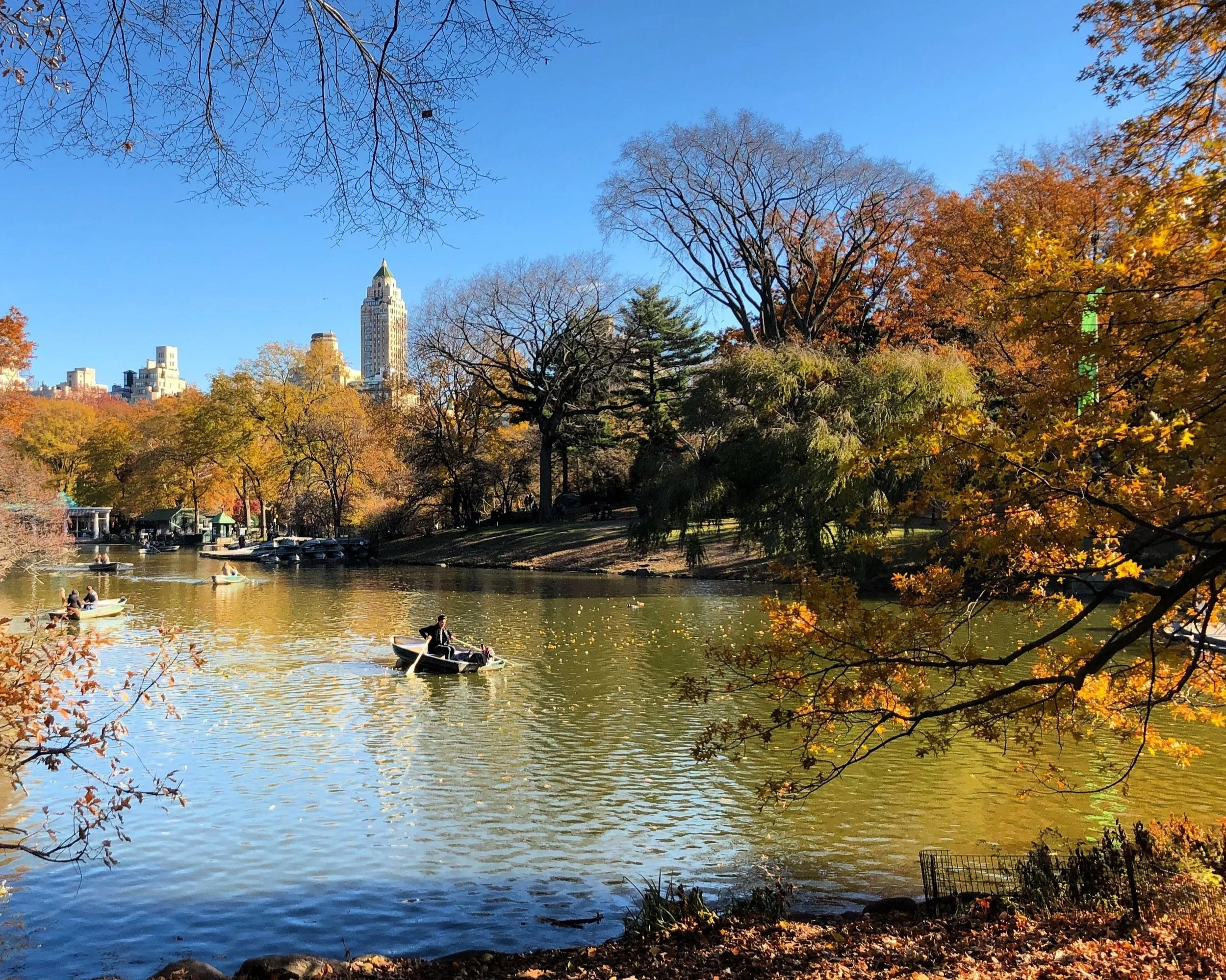 Central Park