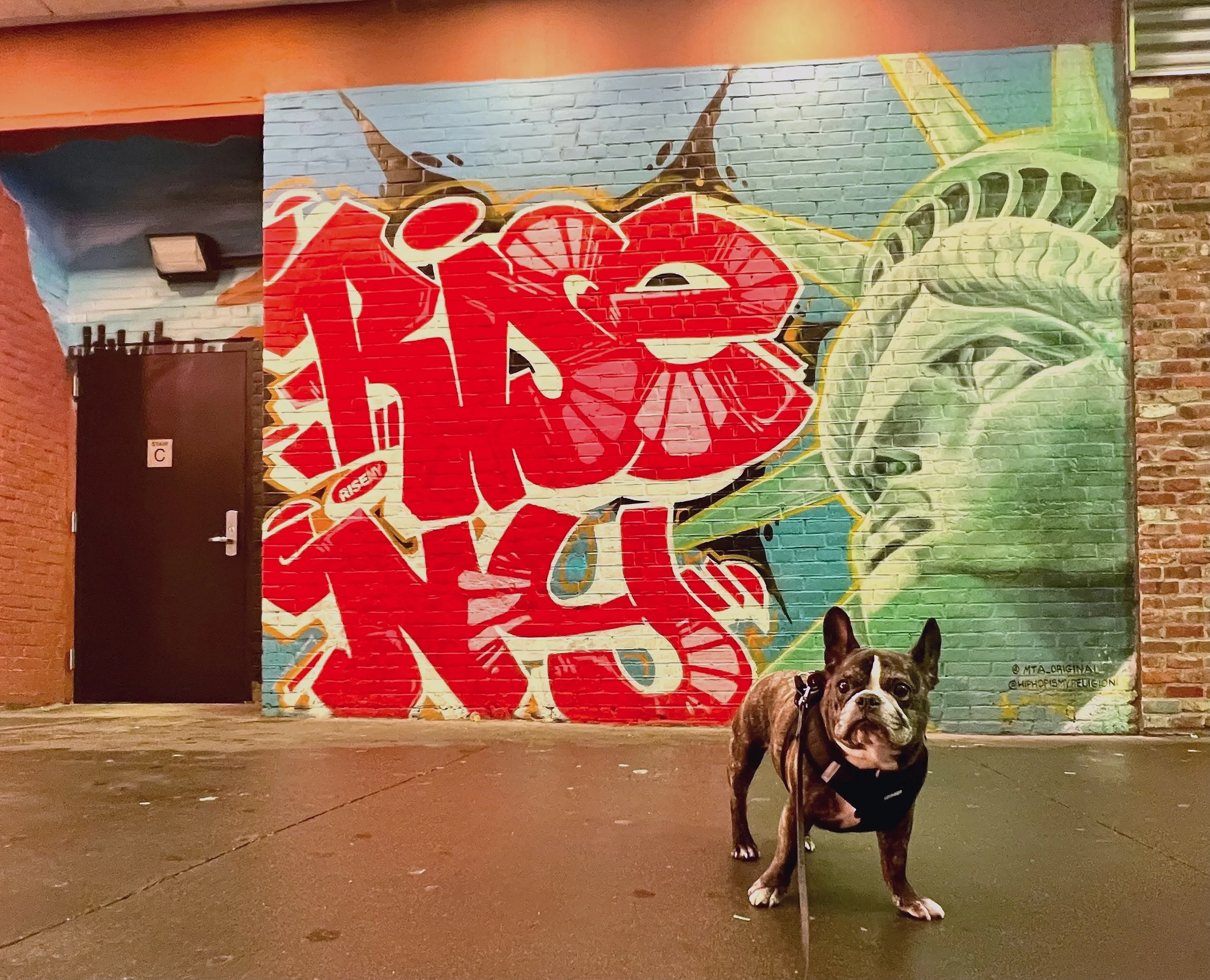 Rise NY by mta_original and hiphopismyreligion